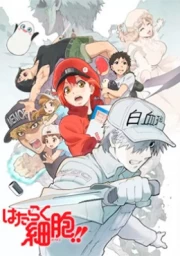 Hataraku Saibou!!